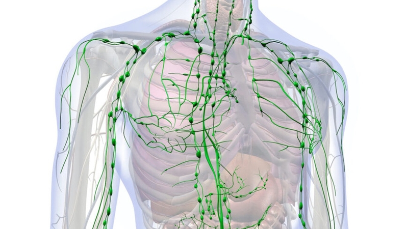tim-hieu-chi-phi-dieu-tri-ung-thu-hach-dieu-tri-ung-thu-hach-ra-sao 1
