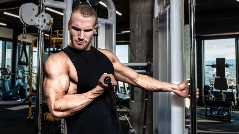 Tìm hiểu cơ bắp mạnh nhất trong cơ thể con người 1