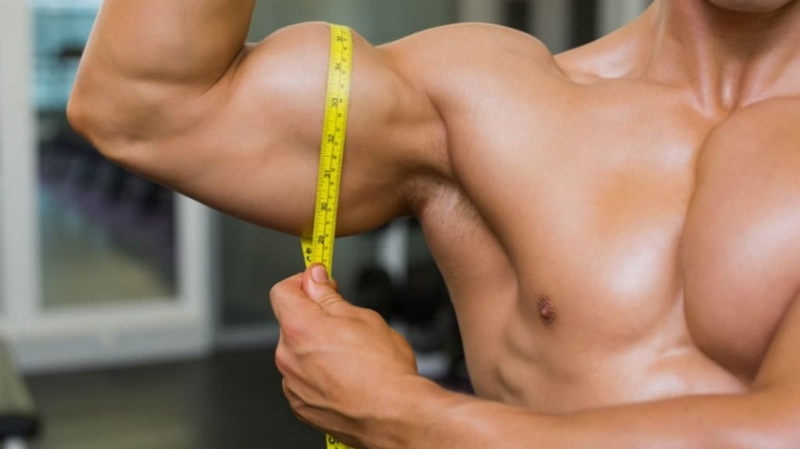 Tìm hiểu cơ bắp mạnh nhất trong cơ thể con người 4