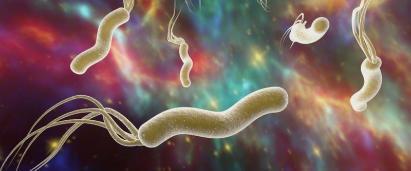 Tìm hiểu cơ chế bệnh sinh của loét dạ dày tá tràng 3