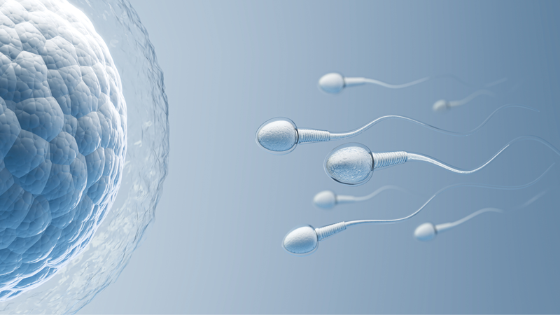 Tìm hiểu dấu hiệu vô sinh nam giới 1