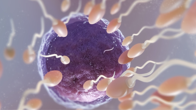 Tìm hiểu dấu hiệu vô sinh nam giới 2