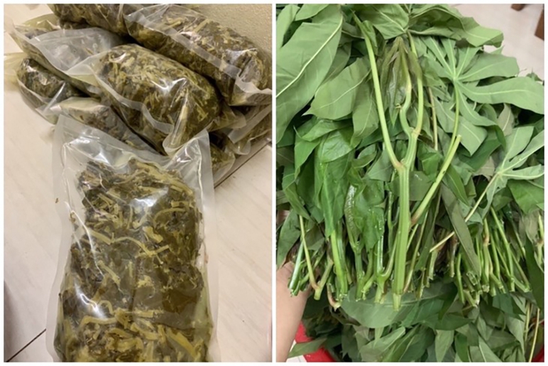 Tìm hiểu lá sắn có ăn được không? 2