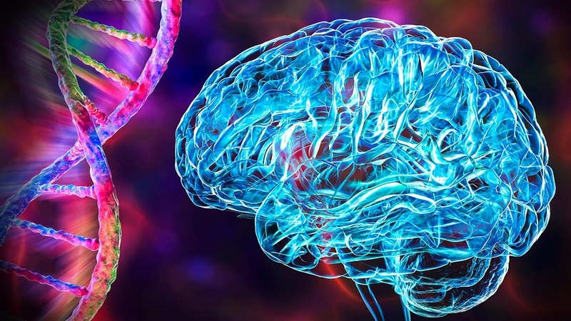 Tìm hiểu ngay 5 loại vitamin tốt cho não - Đẩy lùi bệnh mất trí nhớ! 1