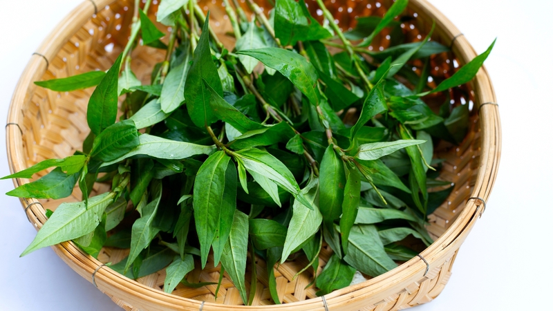 Tìm hiểu ngay: “Tới tháng ăn rau răm có sao không?” 2