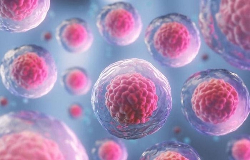 Tìm hiểu những thông tin bạn cần biết về thoái hóa và hoại tử tế bào 3