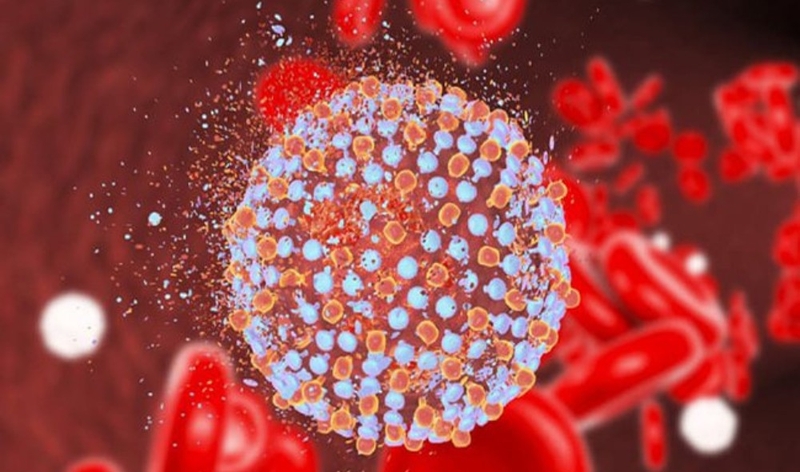 Tìm hiểu phác đồ điều trị viêm gan C  hiện nay 2