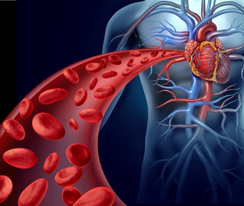 Tìm hiểu số lượng hồng cầu ở cơ thể người bình thường là bao nhiêu? 1