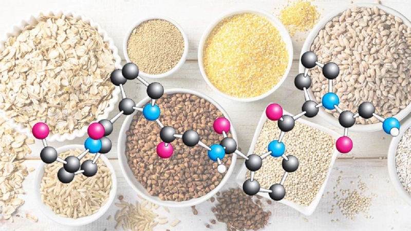 Tìm hiểu Threonin là gì? Threonin có vai trò như thế nào đối với sức khỏe con người? 2
