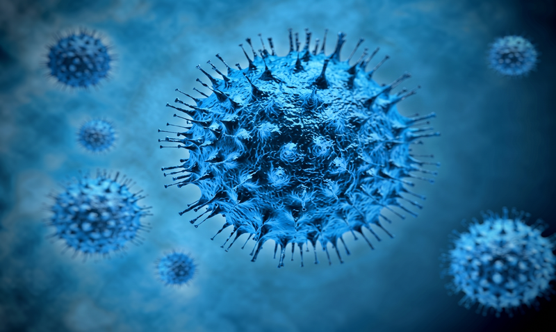 Virus zona thuộc chủng thuộc họ virus herpes là tác nhân gây ra hai thể bệnh thủy đậu và zona thần kinh