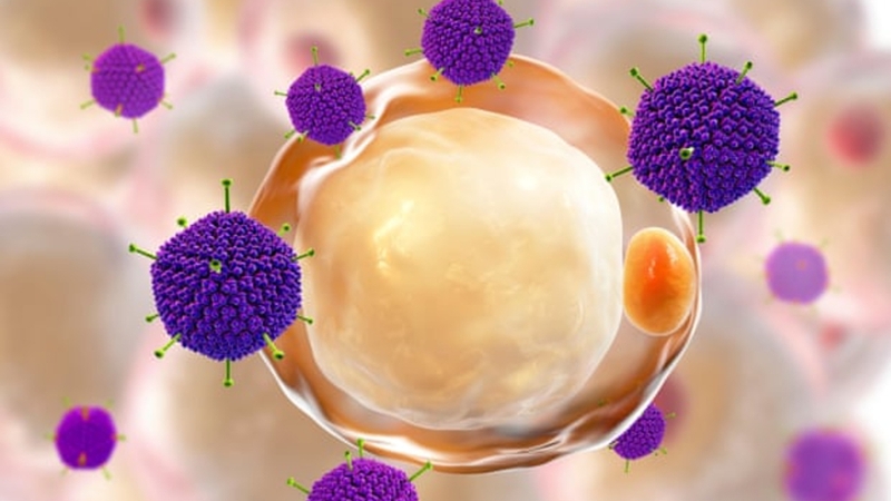 Tìm hiểu về adenovirus ở trẻ em1