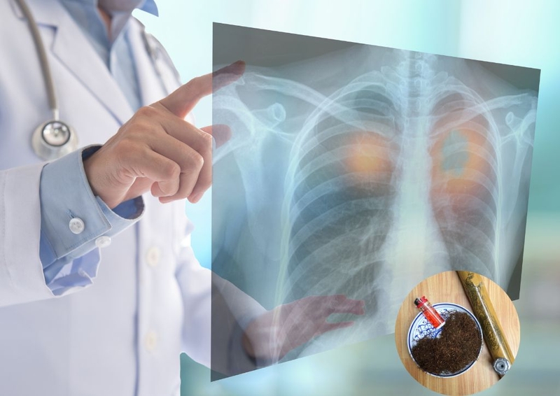 Tìm hiểu về cây thuốc lào, những tác dụng và tác hại&nbsp; 3