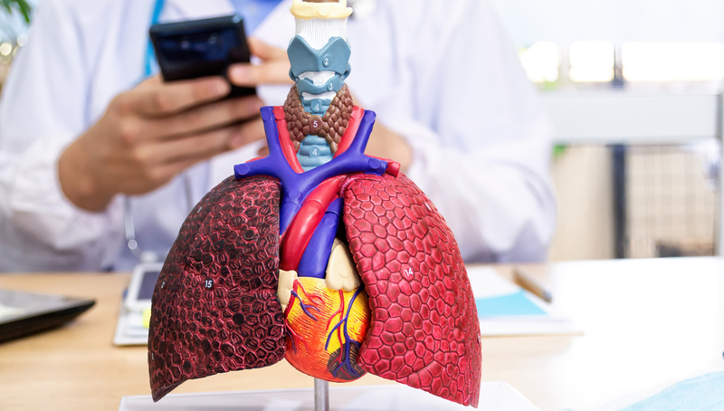 Co kéo cơ hô hấp phụ: Nguyên nhân, dấu hiệu và biện pháp phòng ngừa 1