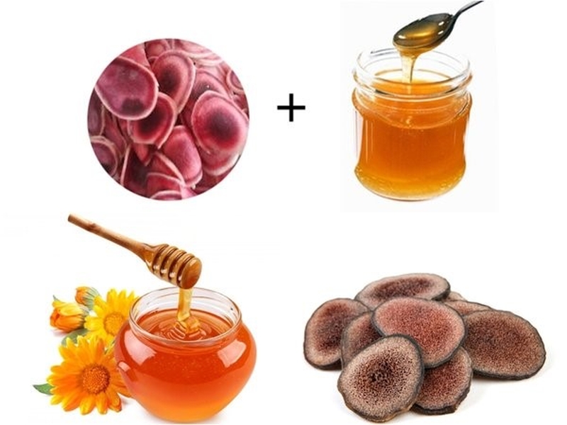 Tìm hiểu về công dụng của nhung hươu ngâm mật ong1