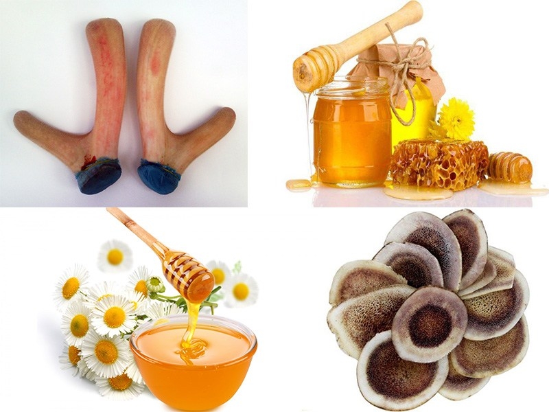 Tìm hiểu về công dụng của nhung hươu ngâm mật ong3