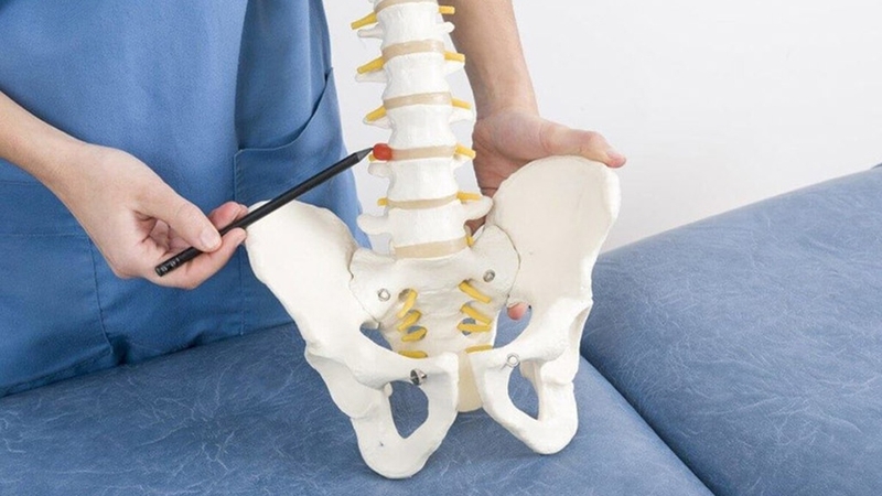 Tìm hiểu về đặc điểm của các đốt sống thắt lưng 1