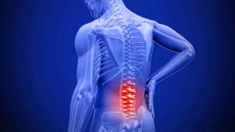 Tìm hiểu về đặc điểm của các đốt sống thắt lưng 4