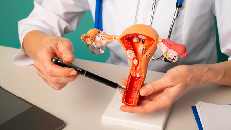 Tìm hiểu về dị dạng sinh dục nữ 4