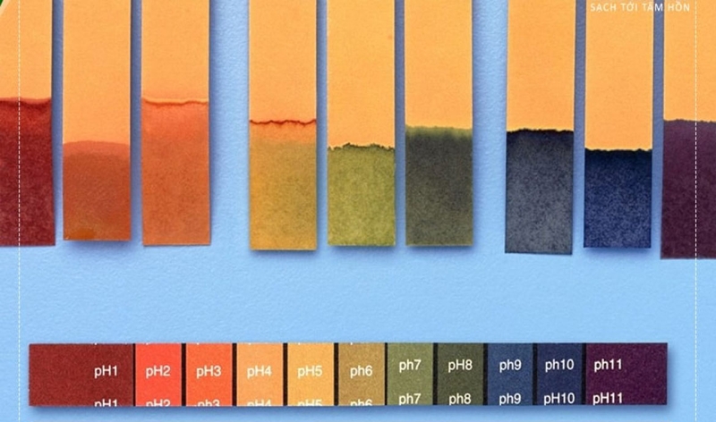 Tìm hiểu về độ pH của da - yếu tố giúp làn da khỏe mạnh 2