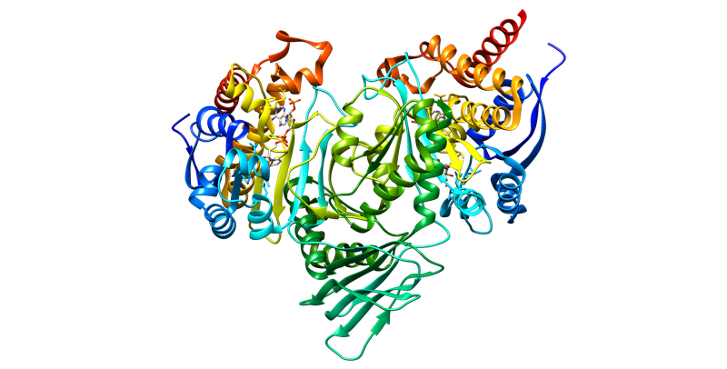 Tìm hiểu về  đột biến gen IDH1 và IDH2 ở các bệnh nhân ung thư 2