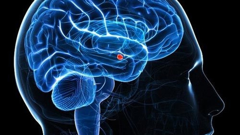 tim-hieu-ve-hach-hanh-nhan-noi-chua-dung-cam-xuc 1