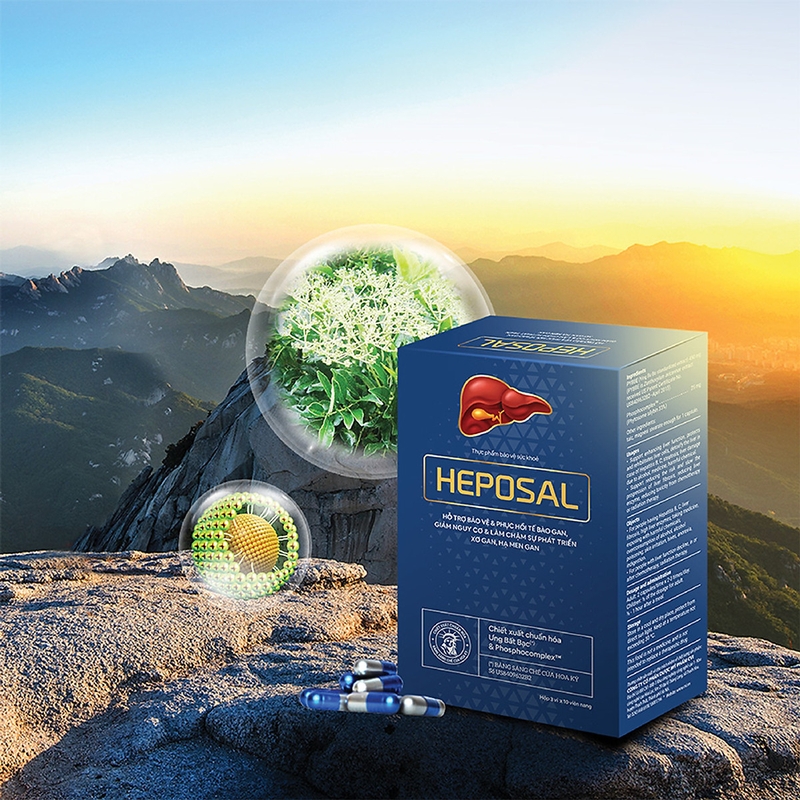Tìm hiểu về Heposal Mediplantex - Viên uống bảo vệ, tăng cường chức năng gan 2