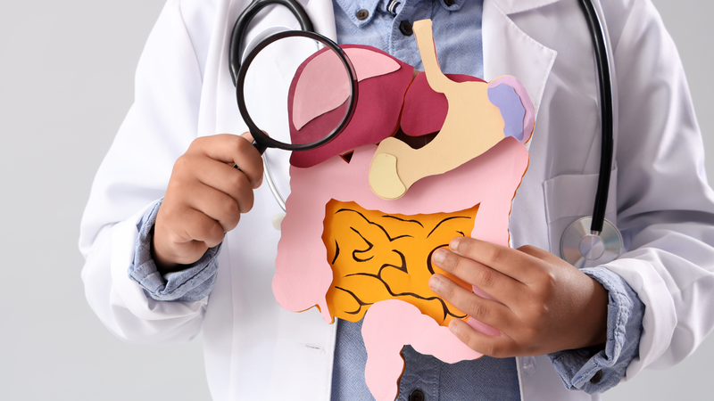 tim-hieu-ve-ho-ngoi-truc-trang-cau-truc-chuc-nang-va-cac-benh-lien-quan-2 (1).png