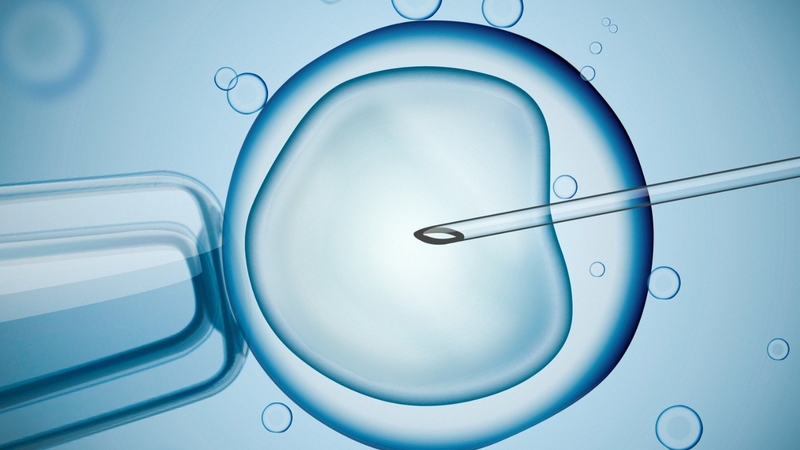 Tìm hiểu về IVF và các xét nghiệm trước khi làm IVF 1