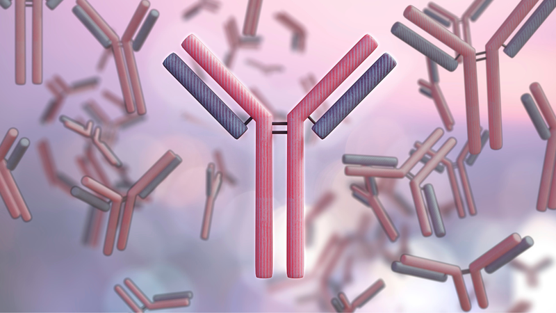 Tìm hiểu về kháng thể: Hiệu giá kháng thể là gì? 2