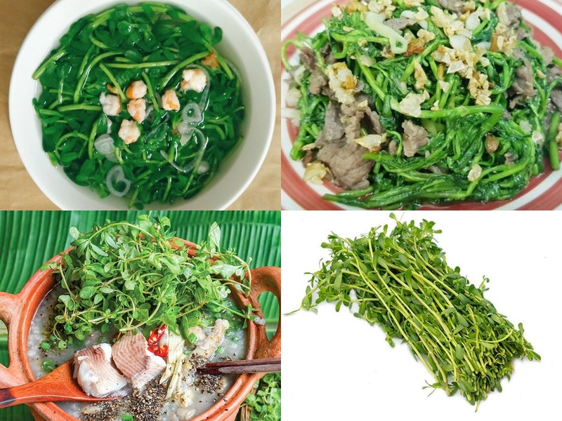 Tìm hiểu về rau đắng và giải đáp nâng mũi ăn rau đắng được không 3