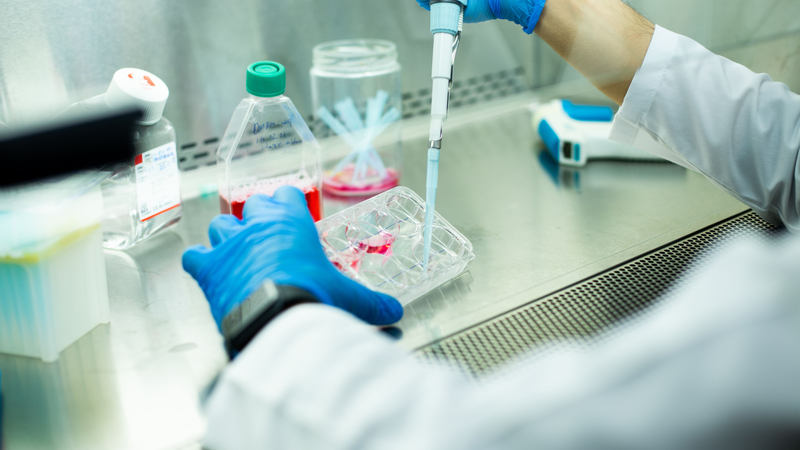 Tìm hiểu về tế bào gốc đa năng và tiềm năng ứng dụng thực tiễn 2