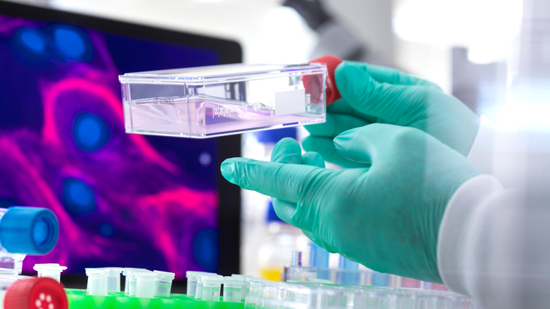 Tìm hiểu về tế bào gốc đa năng và tiềm năng ứng dụng thực tiễn 1