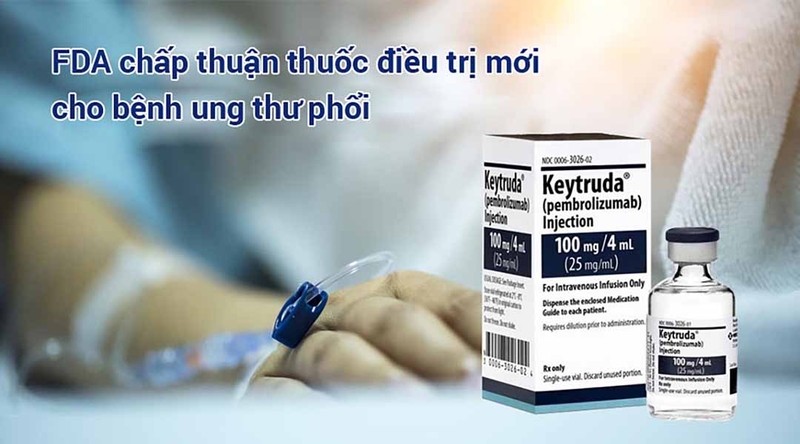 Tìm hiểu về thuốc miễn dịch điều trị ung thư phổi 2