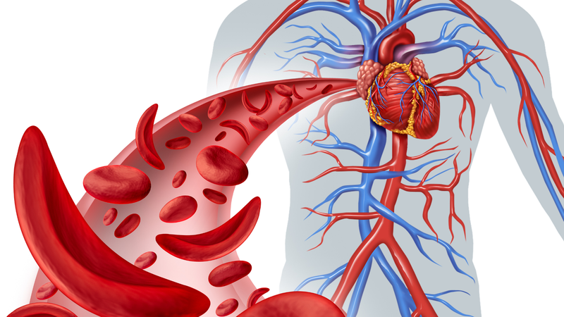 Tìm hiểu về trà Mugicha - Những lợi ích của trà Mugicha đối với sức khỏe 3