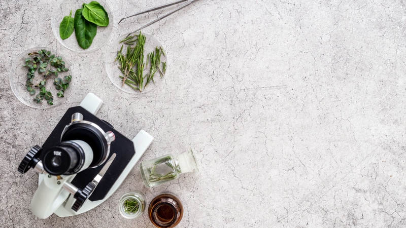 Tìm hiểu về vắc xin có nguồn gốc từ thực vật 3