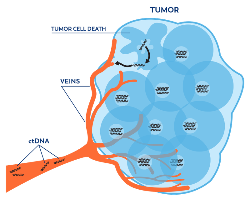 Tìm hiểu về xét nghiệm DNA khối u tuần hoàn 1