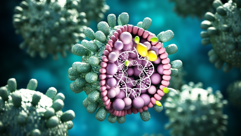 Tìm hiểu: Virus viêm gan B sống được bao lâu ngoài môi trường? 1