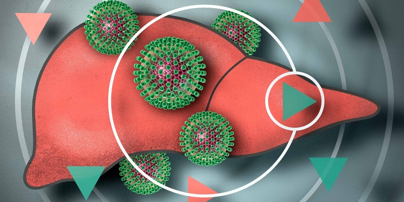 Tìm hiểu: Virus viêm gan B sống được bao lâu ngoài môi trường? 2