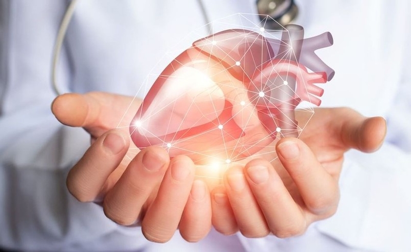 Duy trì các bài tập worlout liên tục hỗ trợ bảo vệ sức khỏe tim mạch hiệu quả