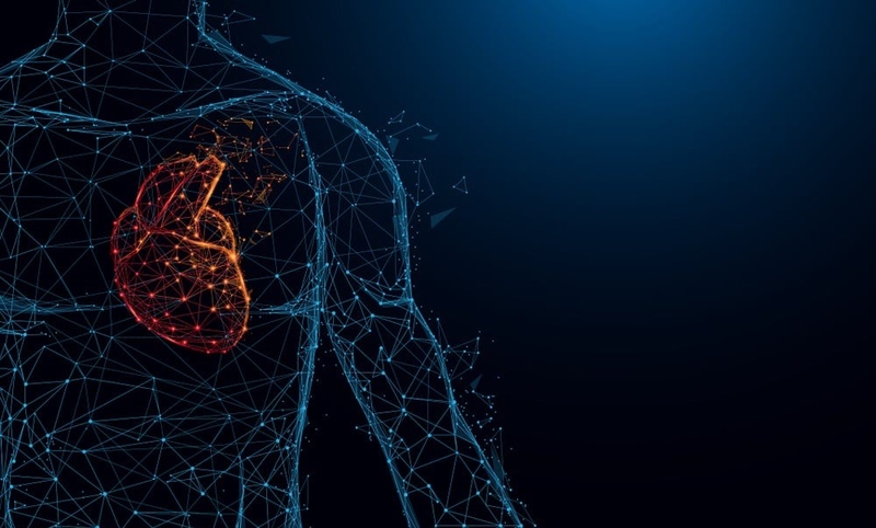 Tim nằm bên nào? Làm thế nào để tim luôn khỏe mạnh? 1