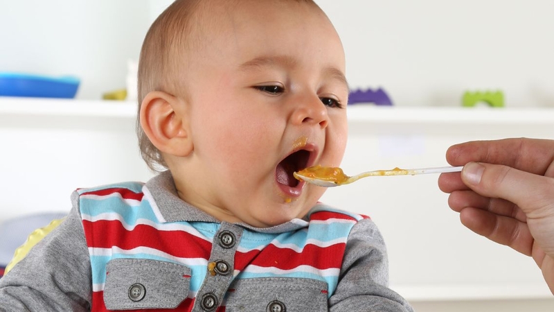 Tôm nấu với gì cho bé ăn dặm? Gợi ý 10 món ăn dặm từ tôm 3