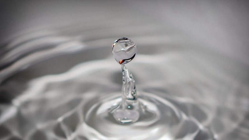 tin-suc-khoe-an-gi-de-phong-ngua-soi-than 2