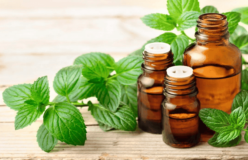 Top 6 tinh dầu kích thích mọc tóc và ngăn ngừa rụng tóc tốt nhất 1