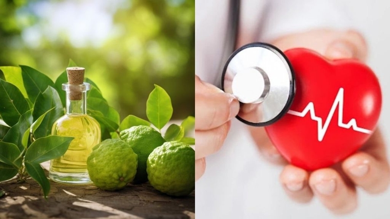 Tinh dầu cam Bergamot: Công dụng, lưu ý khi sử dụng 3