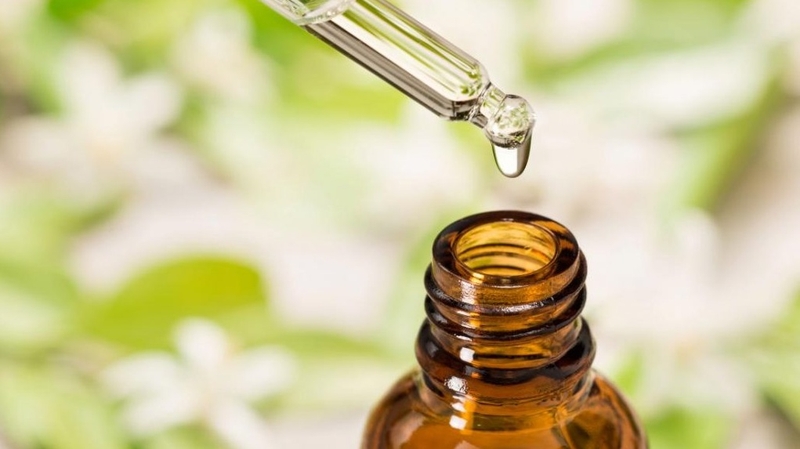 Lợi ích và cách sử dụng tinh dầu cây chè 1