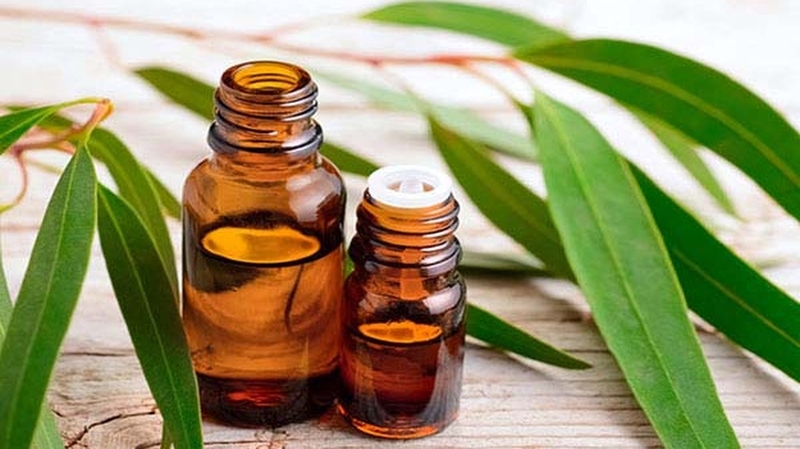 Tinh dầu có thể làm giảm viêm: Những loại tinh dầu tốt nhất và cách dùng hiệu quả 2