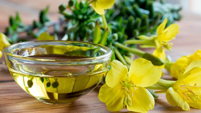 Tinh dầu hoa anh thảo uống sáng hay tối sẽ cho hiệu quả tốt nhất? 2