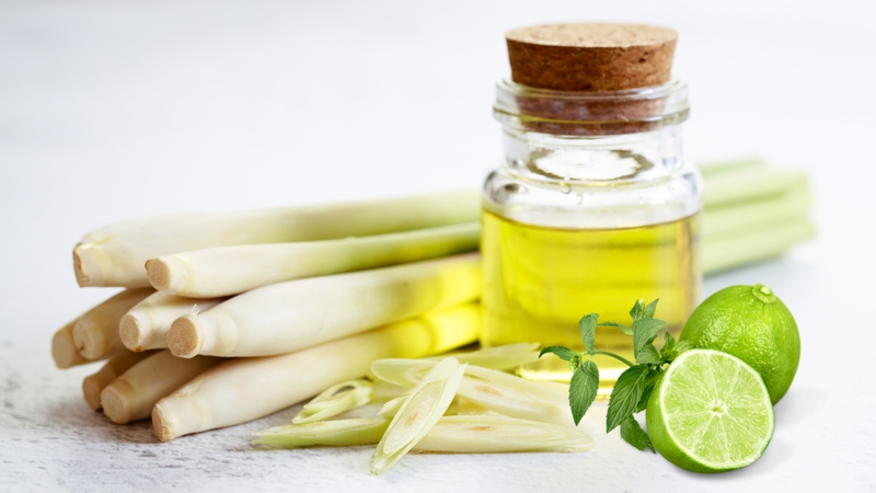 Tinh dầu sả chanh