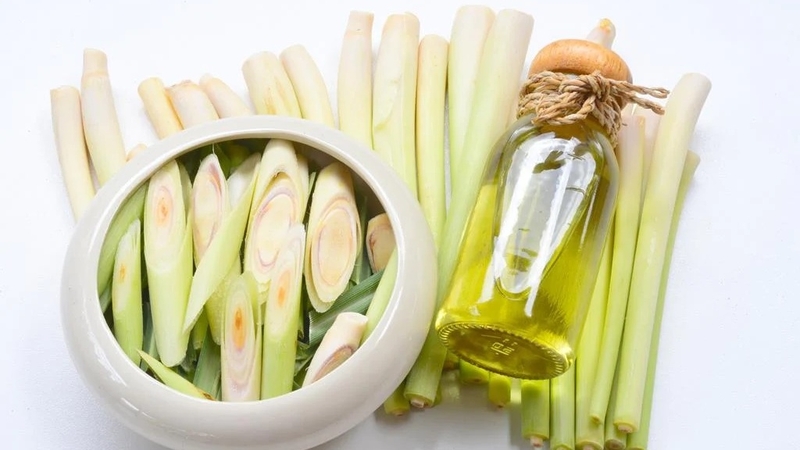 Tinh dầu sả và những công dụng tuyệt vời ít ai ngờ đến 1