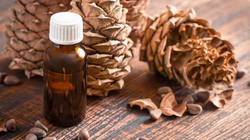 Tinh dầu thông đỏ có tác dụng gì​? Cách sử dụng hiệu quả 1